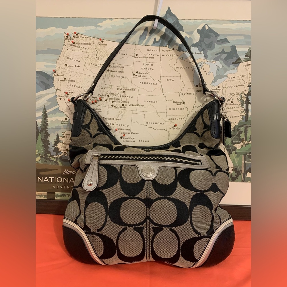 Coach purse